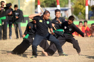 Jurus Pagar Nusa