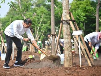 Jokowi Menggugah Semangat Hijau: Tanam Pohon Bersama di Musim Hujan