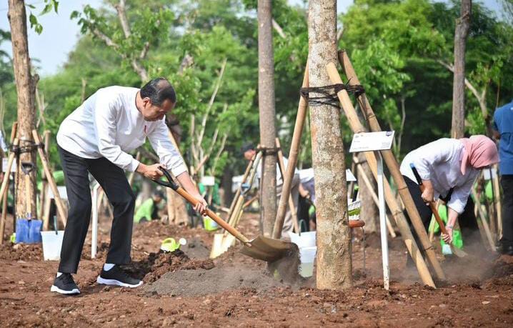 Jokowi Menggugah Semangat Hijau: Tanam Pohon Bersama di Musim Hujan