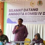 Penurunan Drastis Kebakaran Hutan Riau: DPR RI Puji Tim Manggala Agni!