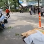 Tragedi Maut di Flyover Jakarta: Mobil Dinas vs Ojol, Kehilangan Nyawa