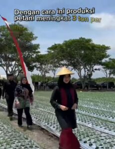 Terobosan Cerdas! LIGHT TRAP Tingkatkan Hasil Bawang Merah di Desa Kedungwungu