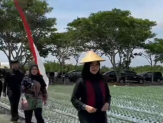 Terobosan Cerdas! LIGHT TRAP Tingkatkan Hasil Bawang Merah di Desa Kedungwungu