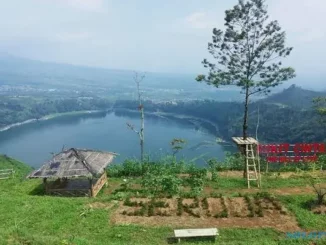 bukit seroja wonosobo