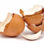 Jangan Buang Cangkang Telur Lagi! Manfaat Cangkang Telur bagi Tanaman