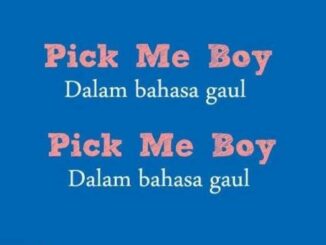 Arti Pick Me Dalam Bahasa Gaul