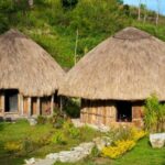Rumah Adat Papua: Pesona Tradisi yang Tersimpan di Setiap Sudutnya!