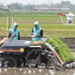 Pertanian Modern Manfaat Hingga Penerapan Kemajuan Teknologi