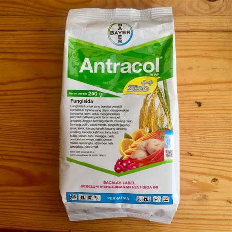 antracol untuk padi bunting