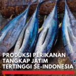 Rekor! Jawa Timur Geser Maluku, Produksi Perikanan Tangkap Tertinggi Nasional 202
