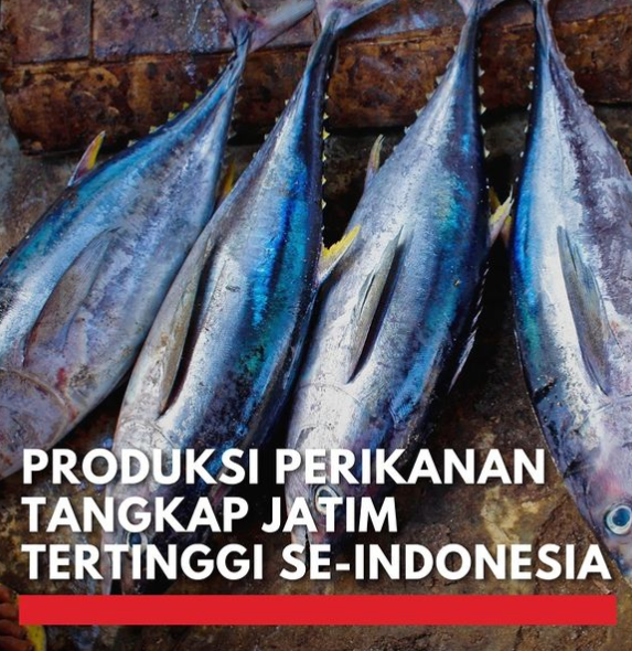 Rekor! Jawa Timur Geser Maluku, Produksi Perikanan Tangkap Tertinggi Nasional 202