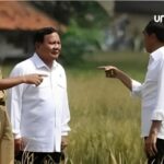 Revitalisasi Pertanian: Prabowo dan Rencana Kilat Food Estate untuk Masa Depan Generasi Muda