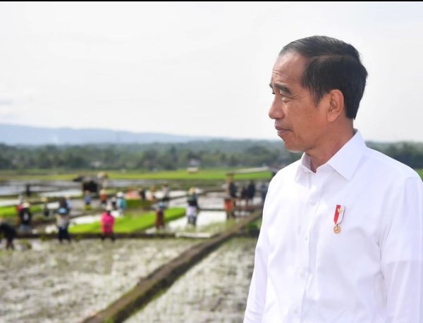 Jokowi Raih Sorotan