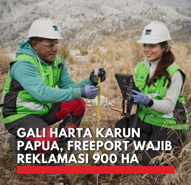 Reklamasi Grasberg 2041: PTFI Tanamkan Harapan di Bekas Galian