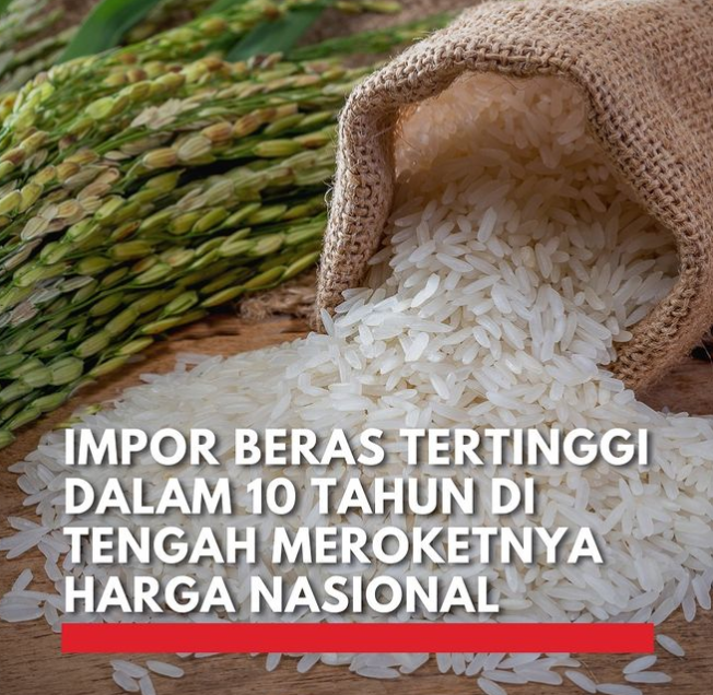 Rekor Impor 3,06 Juta Ton! BPS Ungkap Angka Terbesar Beras dalam 10 Tahun Terakhir