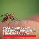 Vaksin DBD di Indonesia: Peluang dan Tantangan untuk Kesehatan Anak