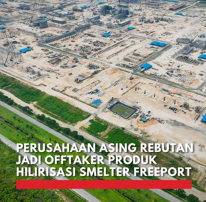 Diburu Perusahaan Asing! Freeport Indonesia Jadi Primadona di KEK Gresik