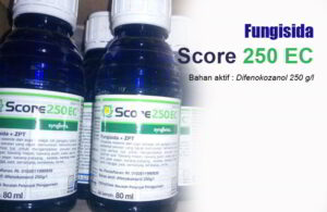 kekurangan fungisida score