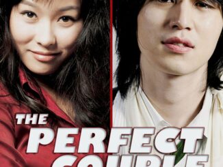 review film the perfect couple