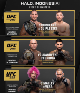 Aksi Seru UFC 2024