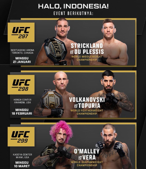 Aksi Seru UFC 2024