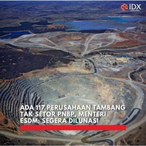 Menteri Energi dan Sumber Daya Mineral (ESDM) Arifin Tasrif PNBP Perusahaan Tambang Izin Rencana Kerja dan Anggaran Biaya (RKAB)