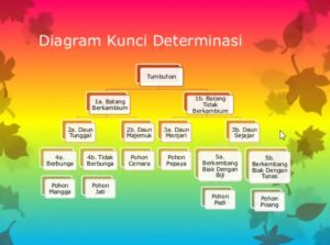 contoh kunci determinasi hewan