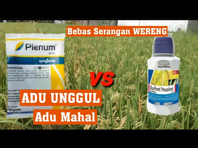 plenum vs pexalon