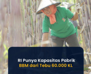 Keterbatasan bahan baku menghambat ekspansi PT Pertamina. Temukan opsi terkini dan strategi yang harus dipertimbangkan!