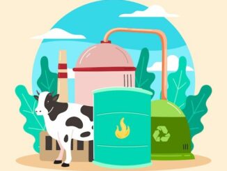 biogas kotoran ternak