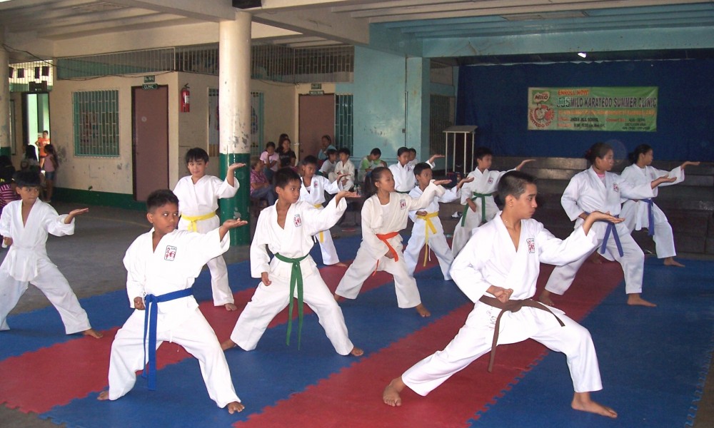 Aliran Karate di Indonesia