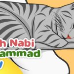 Mengenal Lebih Dekat Kucing Kesayangan Nabi Sulaiman AS dan Nabi Muhammad SAW