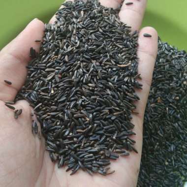 efek samping niger seed