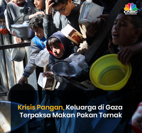 Gaza, keluarga, tragedi, tepung, pakan ternak, krisis makanan, Palestina.