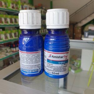 amistar top