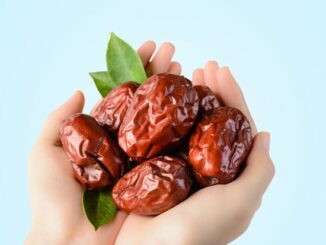 manfaat buah kurma untuk kesehatan